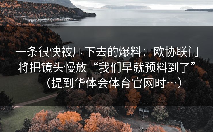 一条很快被压下去的爆料：欧协联门将把镜头慢放“我们早就预料到了”（提到华体会体育官网时…）